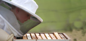 beekeeping-for-kids-791x382